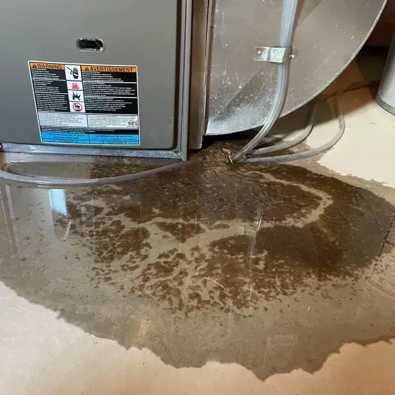 Appliance Leak Cleanup in Arlington Heights, IL